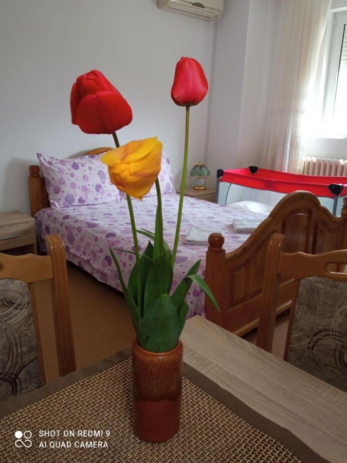 Apartman Andelina Vrnjačka Banja Kültér fotó