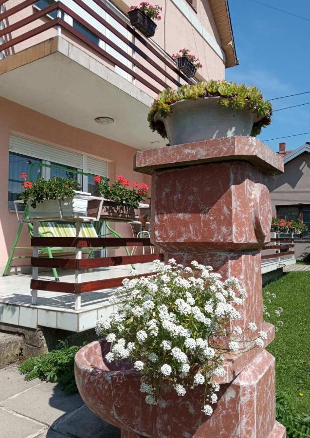 Apartman Andelina Vrnjačka Banja Kültér fotó
