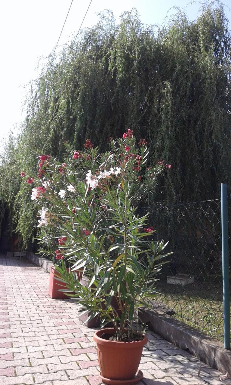 Apartman Andelina Vrnjačka Banja Kültér fotó